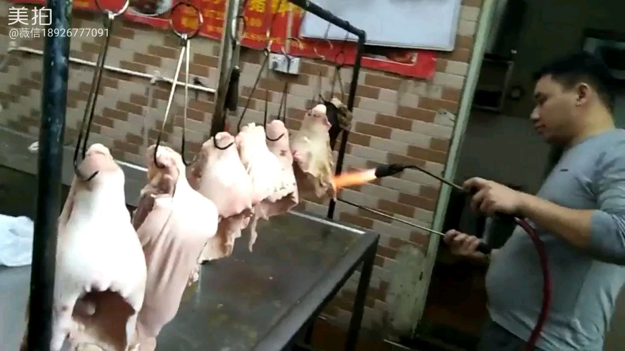 辛苦啦,一早就爬起,开烧腊店真不容易啊~为了揾食,又有兴趣,坚持~认同的点赞!